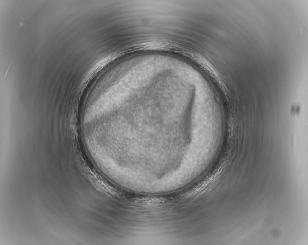 X0000093730930200711131034