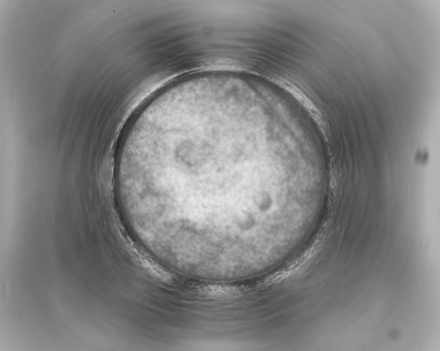 X0000093730933200711131034