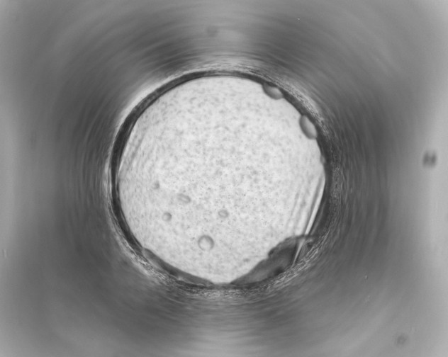 X0000093730936200711131034