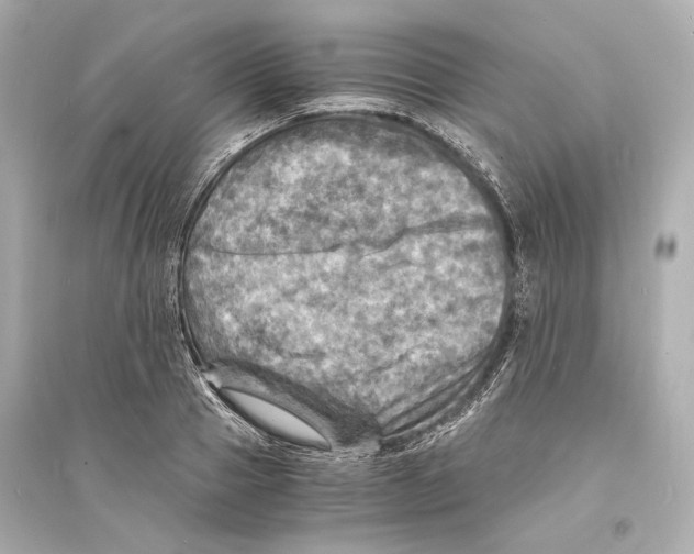 X0000093730937200711131034