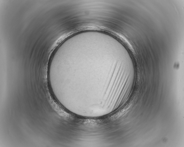 X0000093730938200711131034