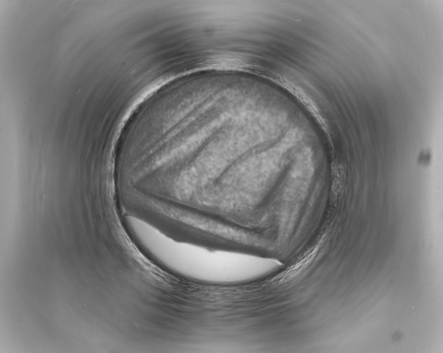 X0000093730939200711131034