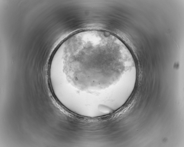 X0000093730941200711131034