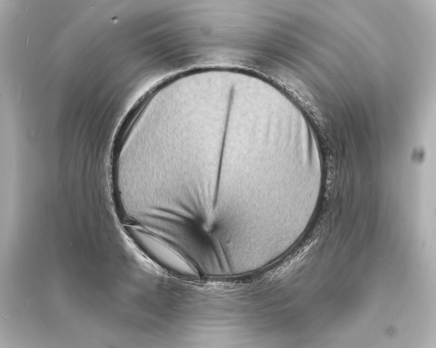 X0000093730942200711131034