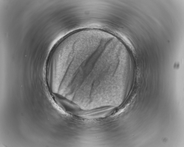 X0000093730944200711131034