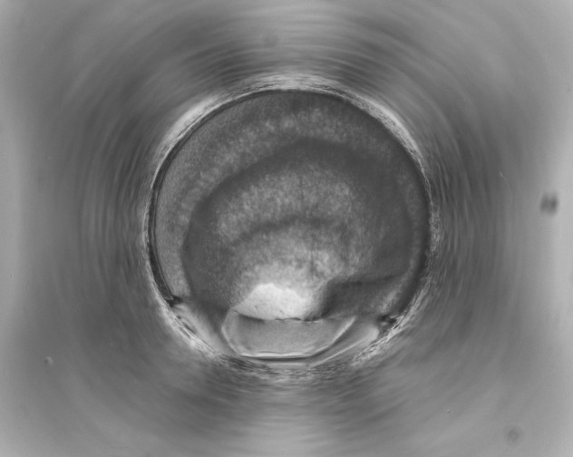 X0000093730946200711131034