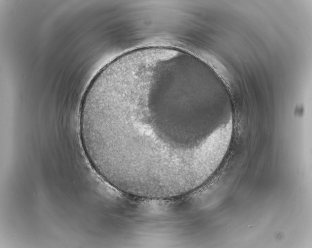 X0000093730950200711131034