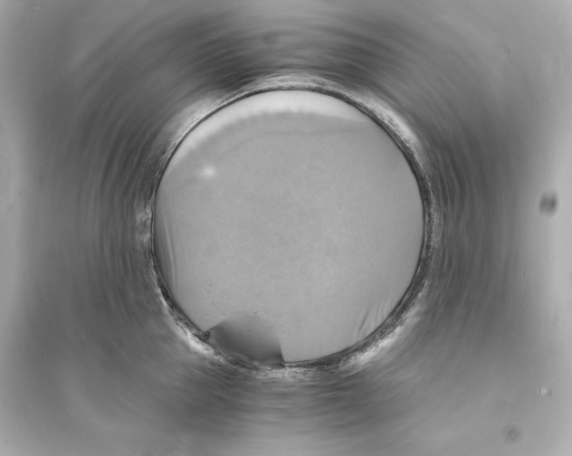 X0000093730953200711131034