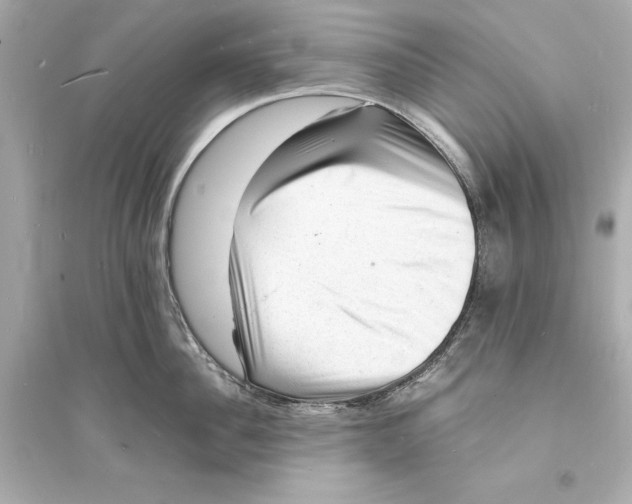 X0000093730956200711131035
