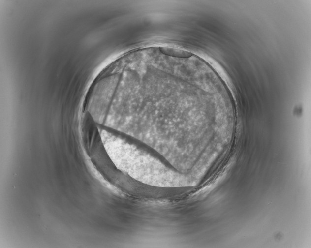 X0000093730957200711131035