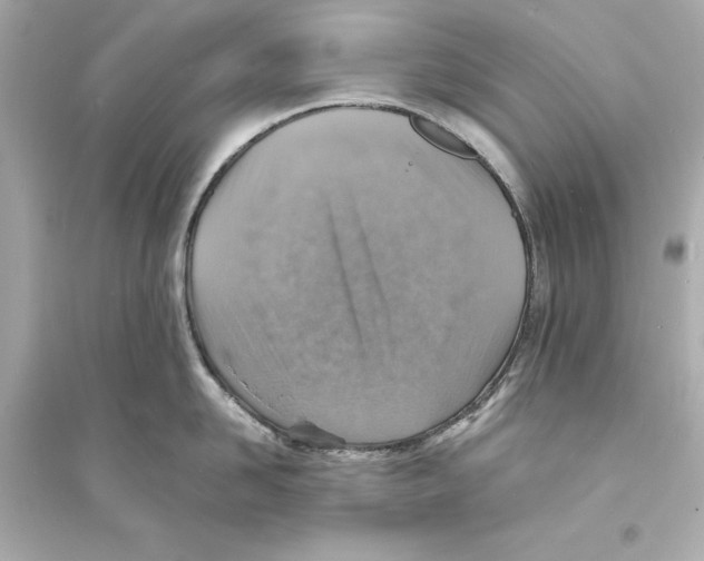 X0000093730958200711131035