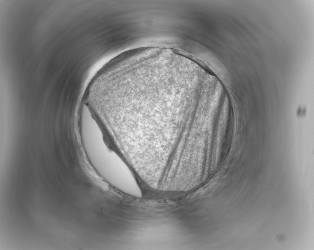 X0000093730960200711131035