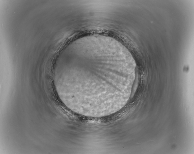 X0000093730961200711131034