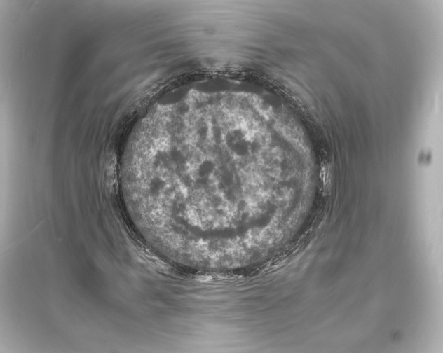 X0000093730963200711131034
