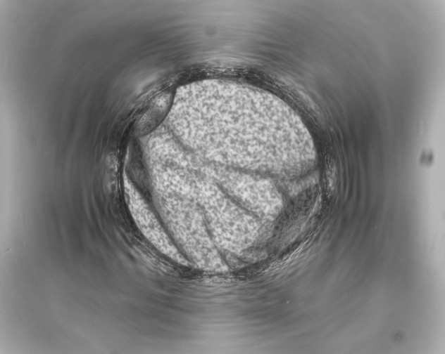 X0000093730964200711131034