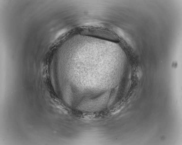 X0000093730965200711131034