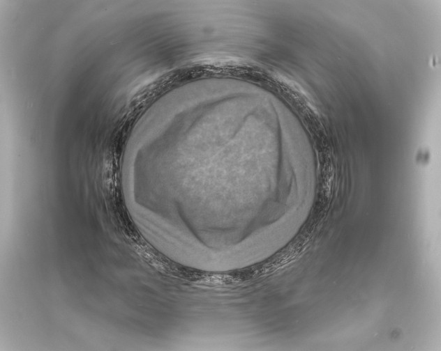X0000093730966200711131034