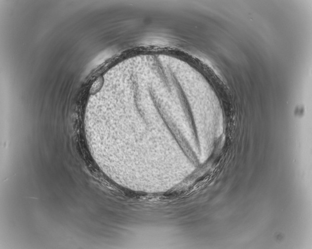 X0000093730967200711131034