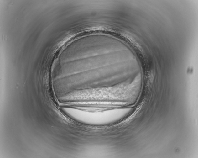 X0000093730969200711131034