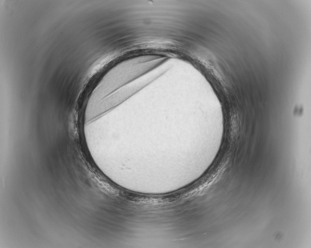 X0000093730970200711131034