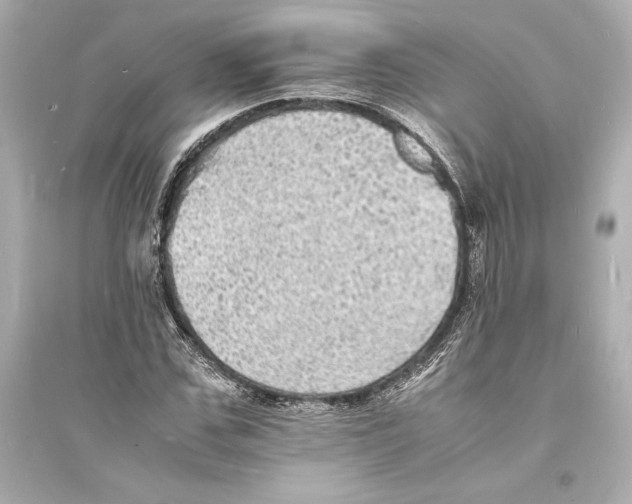 X0000093730971200711131034