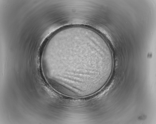 X0000093730973200711131034