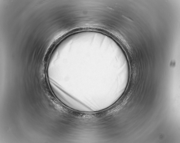 X0000093730974200711131034
