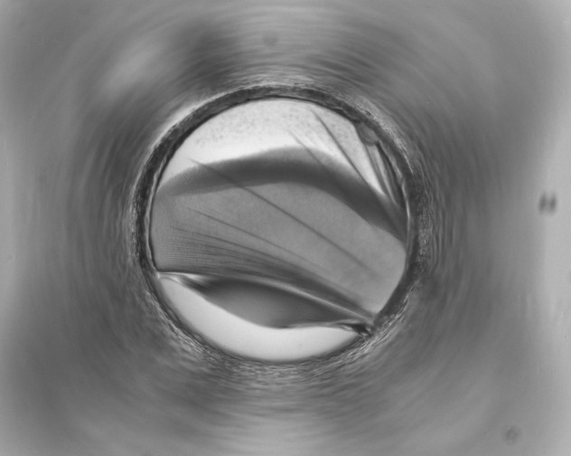 X0000093730975200711131034