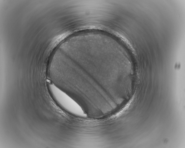 X0000093730977200711131034