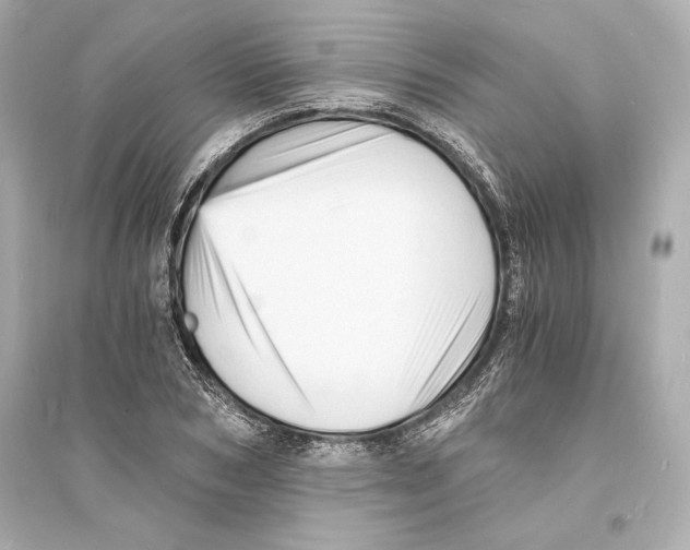 X0000093730978200711131033