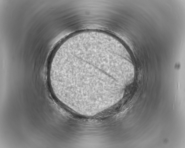 X0000093730979200711131033