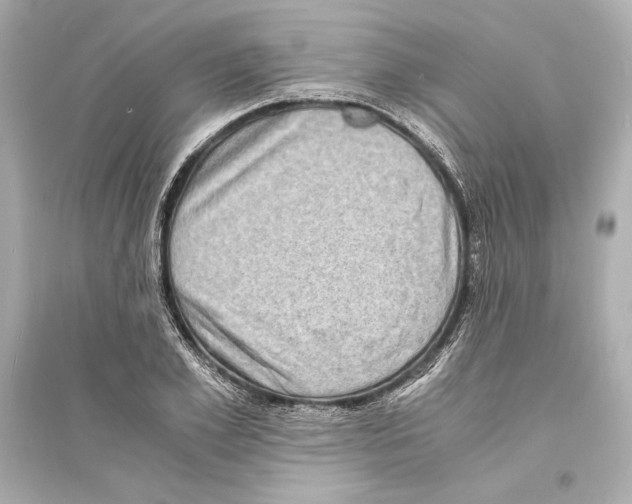 X0000093730981200711131033