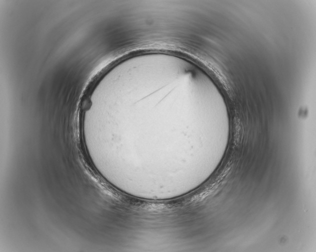 X0000093730982200711131033