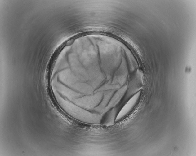 X0000093730983200711131033