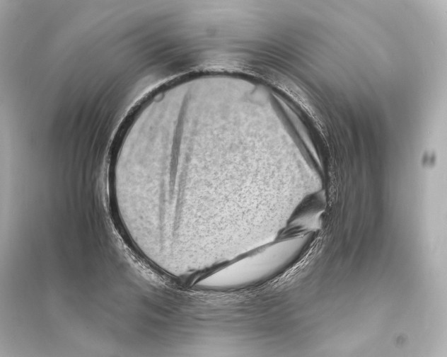 X0000093730984200711131033