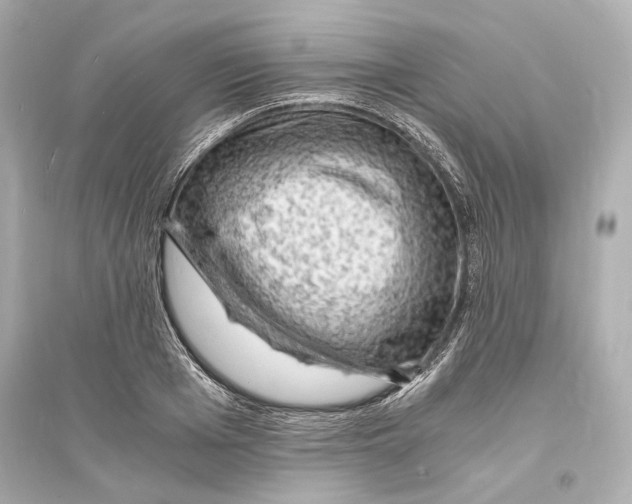 X0000093730985200711131033