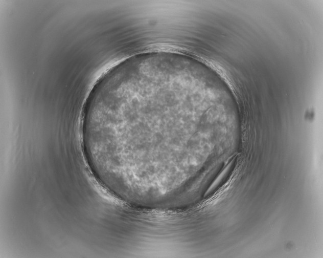 X0000093730987200711131033