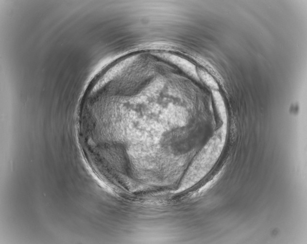 X0000093730989200711131033
