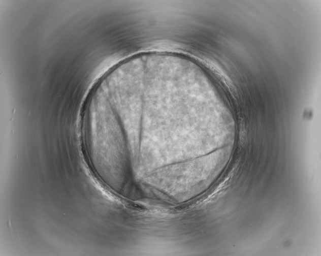 X0000093730990200711131033