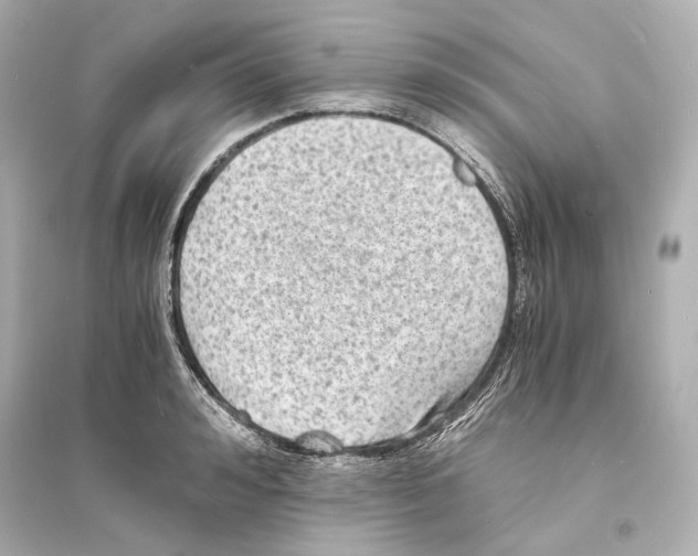 X0000093730992200711131033