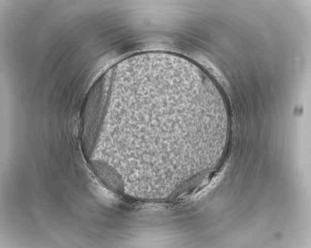 X0000093730993200711131033