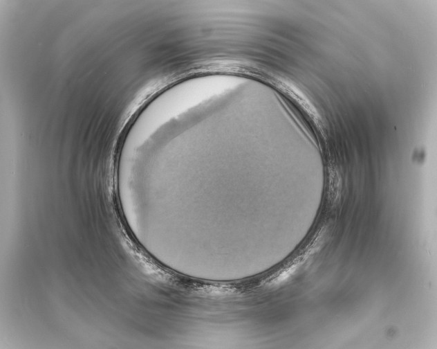 X0000093730994200711131033