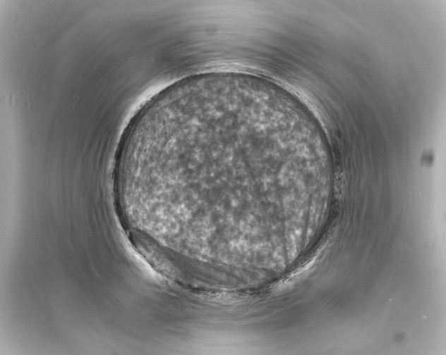 X0000093730995200711131033