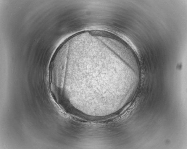 X0000093730996200711131033
