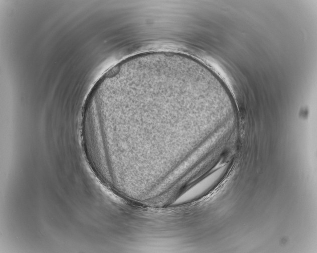 X0000093730997200711131033