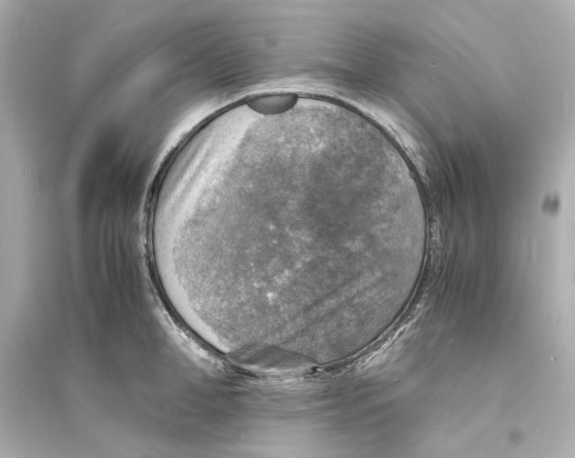 X0000093730998200711131033