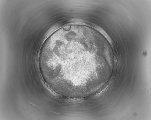 X0000093731002200711131033