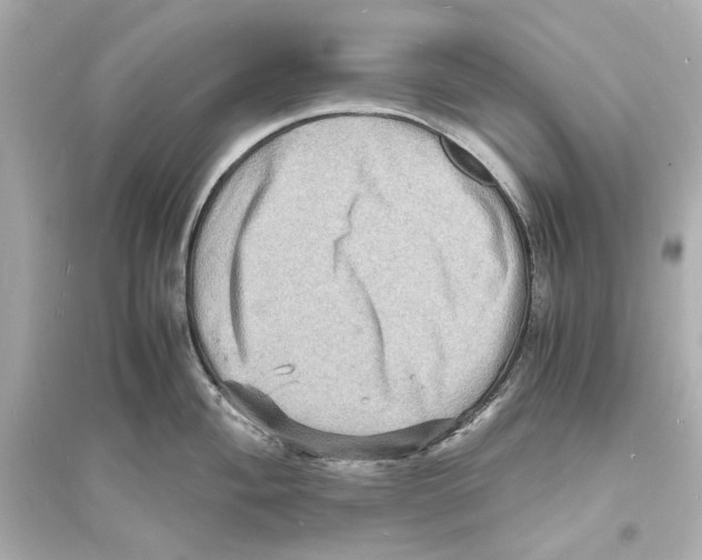 X0000093731004200711131033
