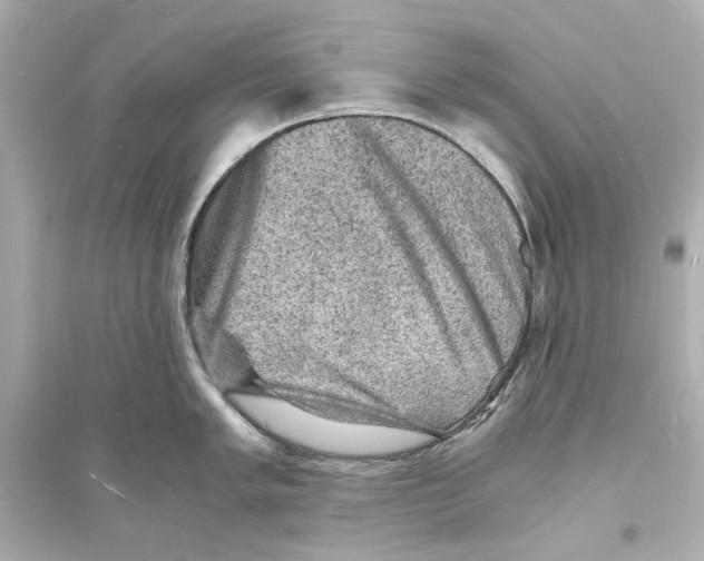 X0000093731005200711131033