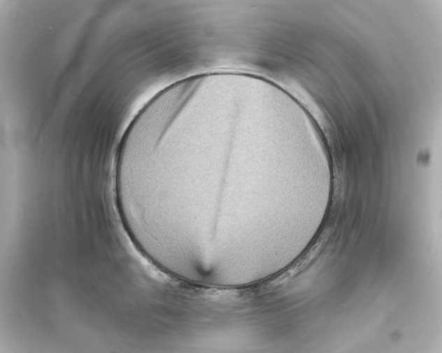 X0000093731006200711131033